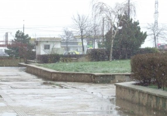 Suntem sub Cod portocaliu de ninsori